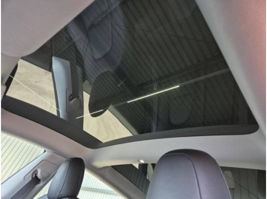 2021 Tesla Model 3 Model 3 Allradantrieb Dual Motor Performan