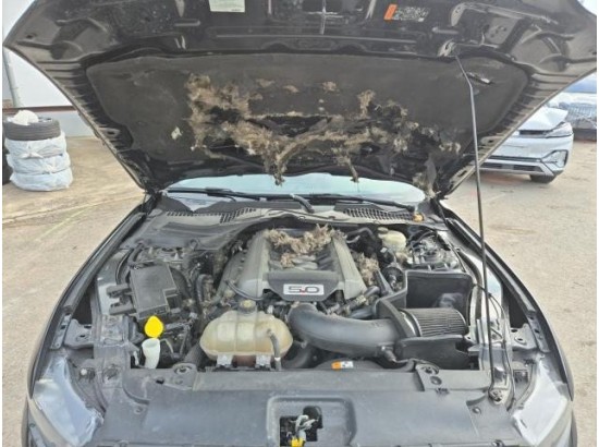 2016 Ford Mustang GT Fastback