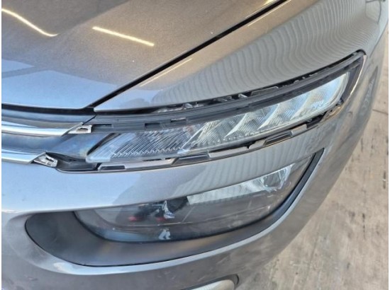 2019 Citroen Grand C4 Picasso/Spacetourer Business Class