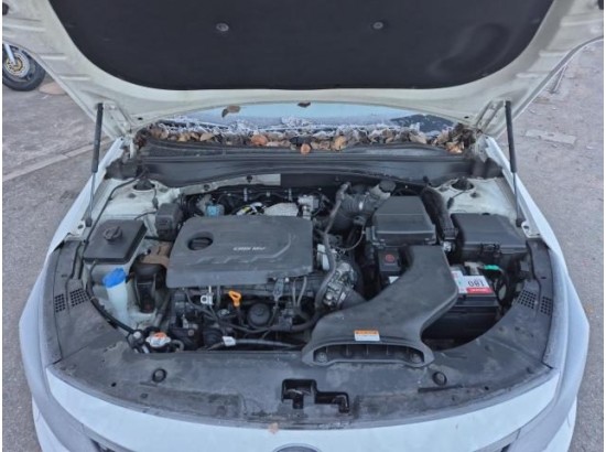 2017 Kia Optima Spirit