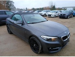 2015 BMW 2er Cabrio 220 i