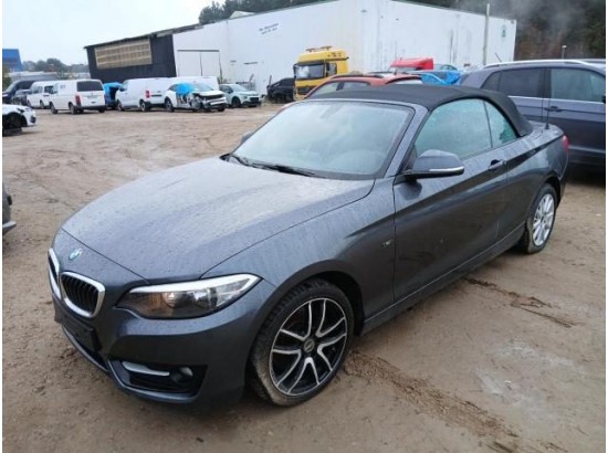 2015 BMW 2er Cabrio 220 i