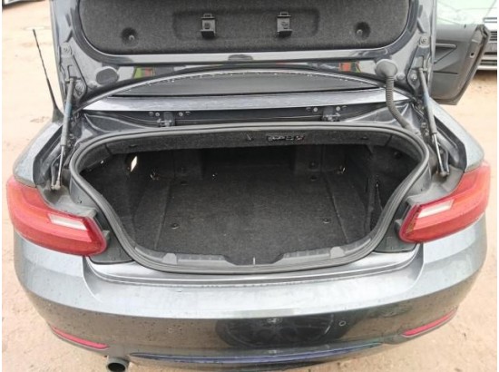 2015 BMW 2er Cabrio 220 i