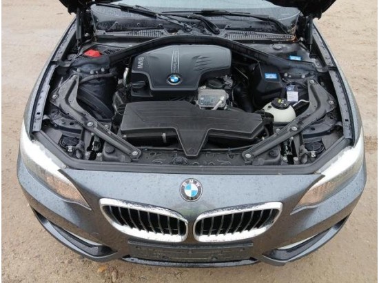 2015 BMW 2er Cabrio 220 i
