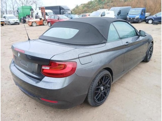 2015 BMW 2er Cabrio 220 i