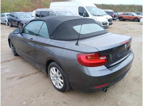 2015 BMW 2er Cabrio 220 i
