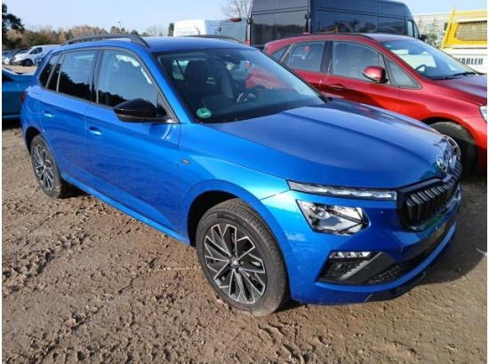 2025 Skoda Kamiq Selection