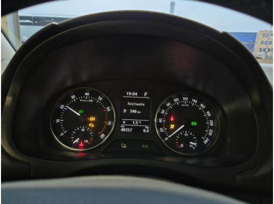 2015 Skoda Fabia Best of