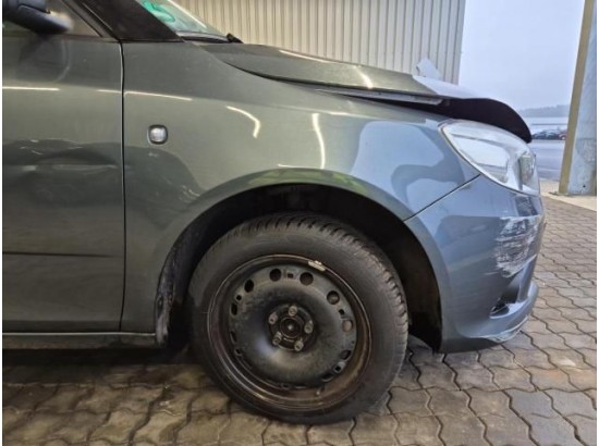 2015 Skoda Fabia Best of