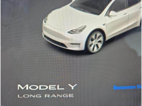 2024 Tesla Model Y Basis RWD