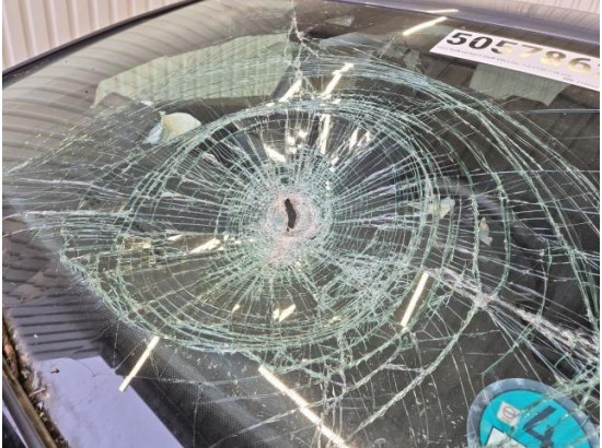 2025 Volkswagen Golf VIII Lim. 1.5 eTSI 110 kW Goal