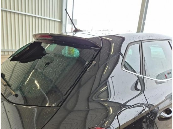 2025 Seat Ibiza Xcellence