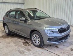 2025 Skoda Kamiq Selection