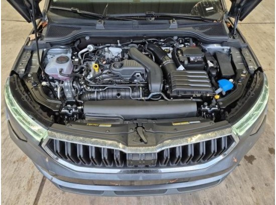 2025 Skoda Kamiq Selection