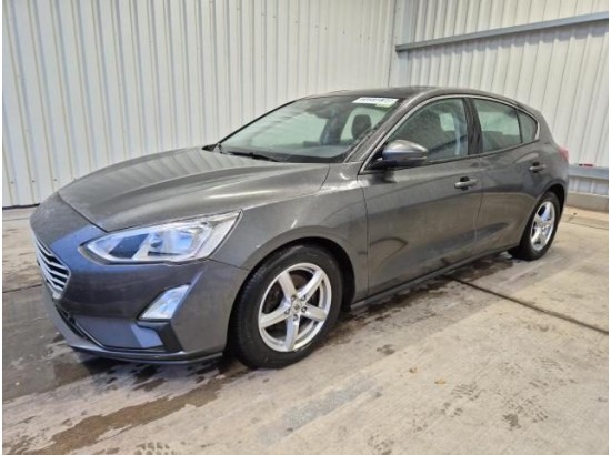 2019 Ford Focus Lim  Cool & Connect