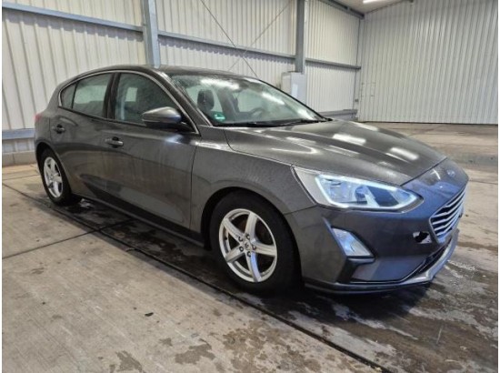 2019 Ford Focus Lim  Cool & Connect