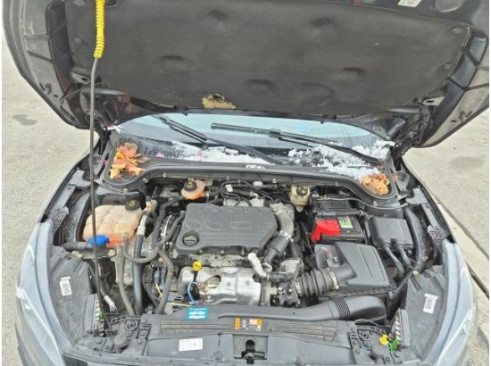 2019 Ford Focus Turnier Cool & Connect