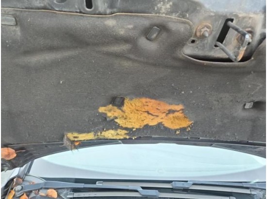 2016 Ford Focus Turnier Ambiente