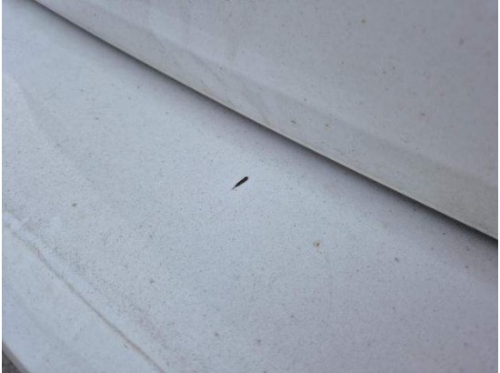 2018 Opel Astra Sports Tourer Edition 1.6 CDTI