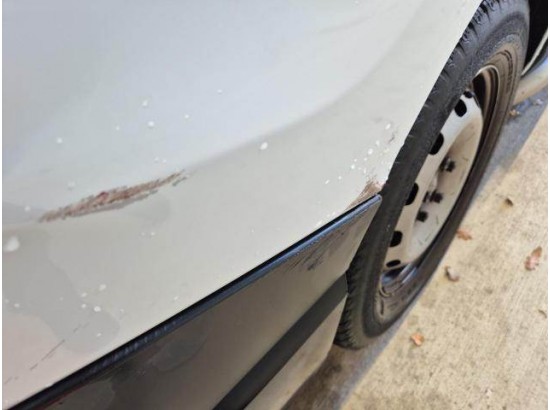 2020 Renault Trafic Kasten L1H1 3,0t Komfort