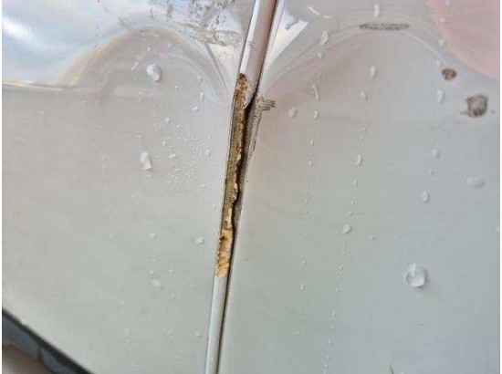 2020 Renault Trafic Kasten L1H1 3,0t Komfort