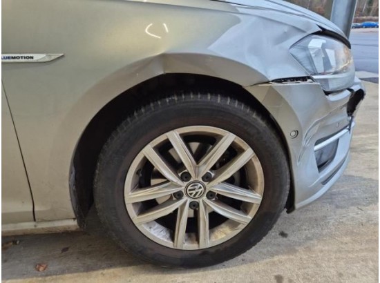 2019 Volkswagen Golf VII Variant Comfortline BlueMotion