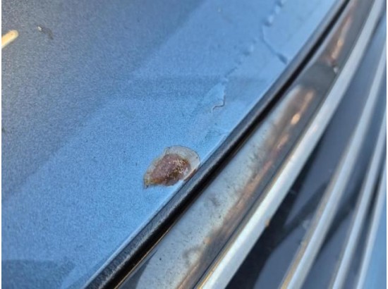 2015 Volkswagen Passat Lim. Comfortline BMT/Start-Stopp