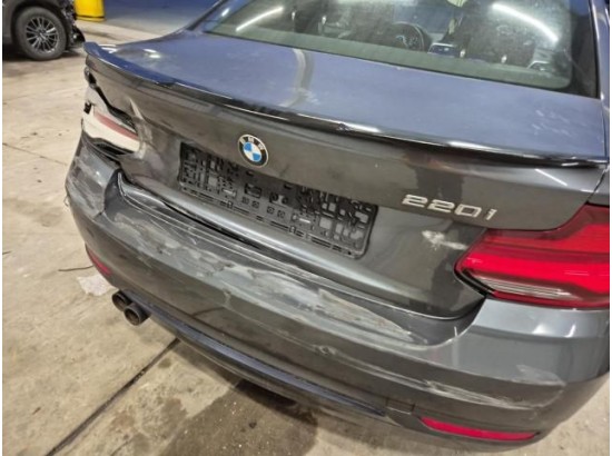 2019 BMW 2er Coupe 220 i Sport Line