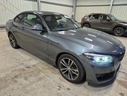 2019 BMW 2er Coupe 220 i Sport Line
