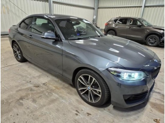 2019 BMW 2er Coupe 220 i Sport Line
