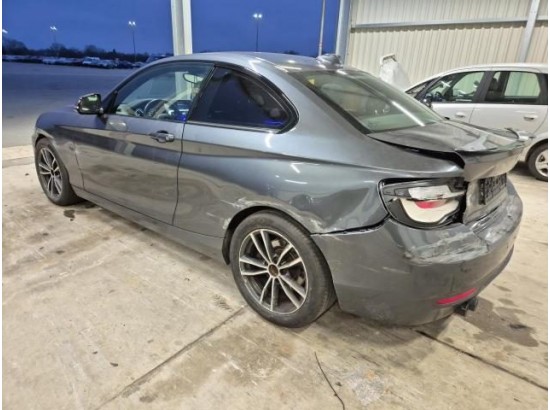 2019 BMW 2er Coupe 220 i Sport Line