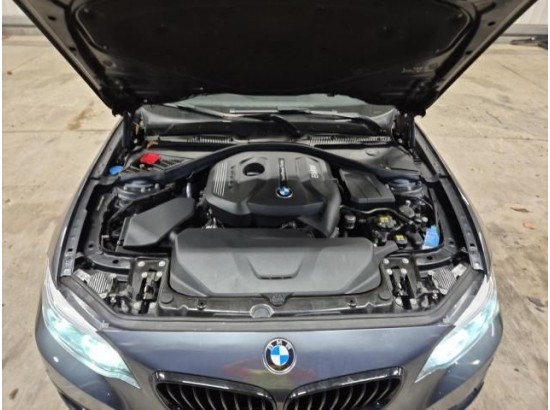 2019 BMW 2er Coupe 220 i Sport Line