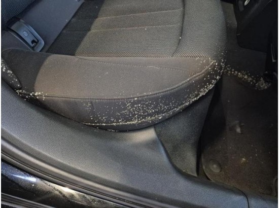 2017 Audi A4 Avant basis