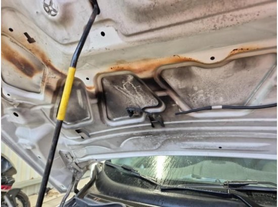 2016 Ford EcoSport Trend