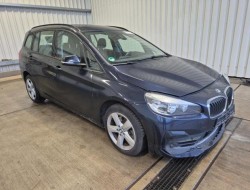 2019 BMW 2er Gran Tourer 220 d xDrive Advantage