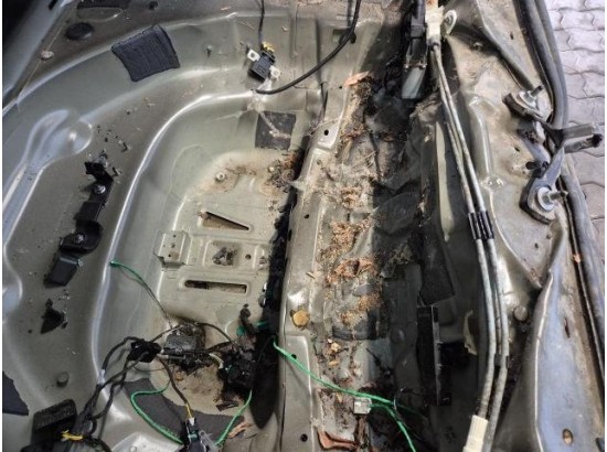 2022 Audi A6 Avant 40 TDI basis