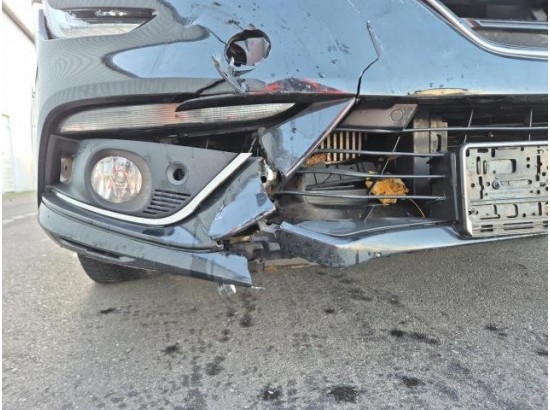 2019 Renault Megane IV Grandtour Business Edition