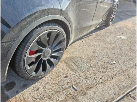 2022 Tesla Model Y AWD Performance Dual