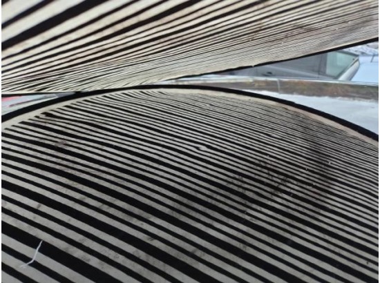 2015 Renault Twingo Luxe