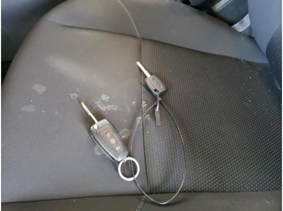 2017 Ford Focus Turnier Cool & Connect