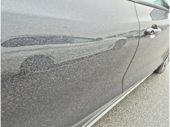 2020 Ford Focus Turnier Active