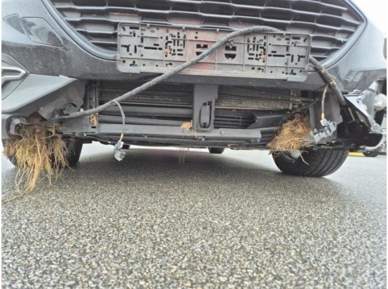 2020 Ford Focus Turnier Active