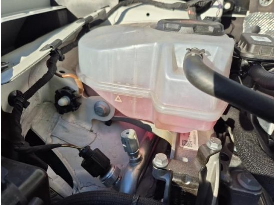 2025 Volkswagen Golf VIII Lim. 1.5 eTSI 110 kW Goal