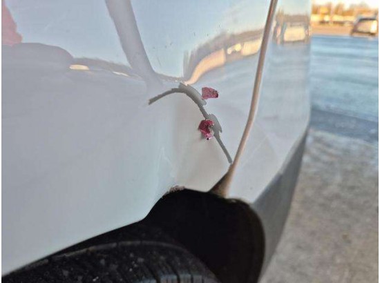 2020 Renault Trafic Kasten L1H1 3,0t Komfort