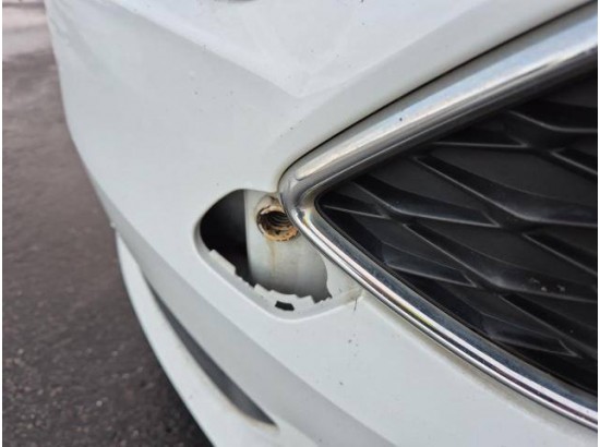 2018 Ford Focus Turnier Business