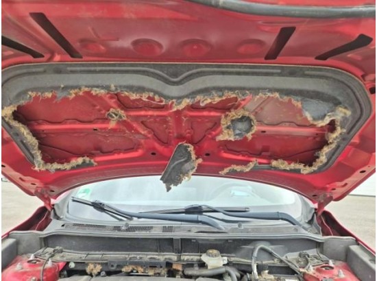 2017 Mazda CX-3 Sports-Line