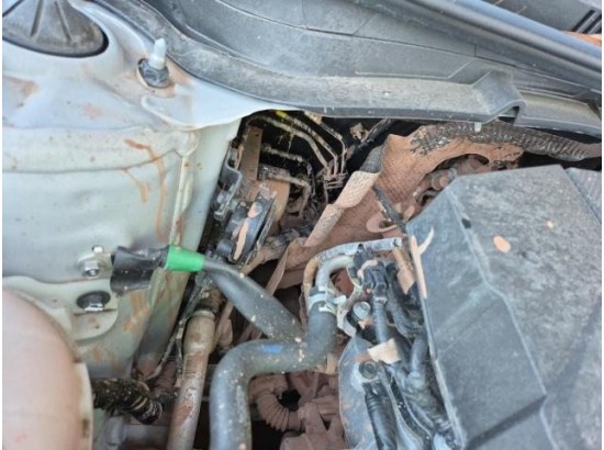 2025 Hyundai i20 Trend