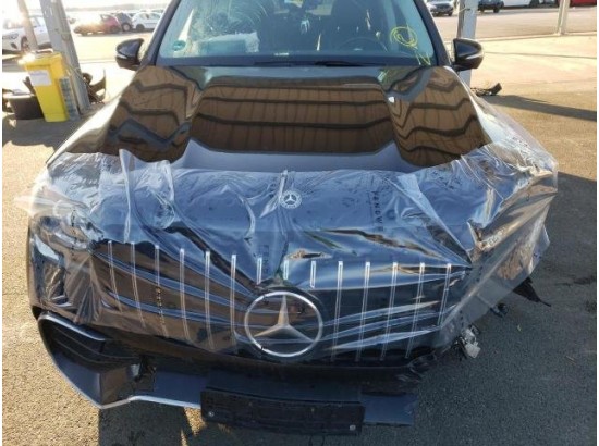 2021 Mercedes-Benz GLS -Klasse GLS 350 d 4Matic