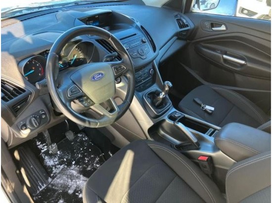 2019 Ford Kuga Trend