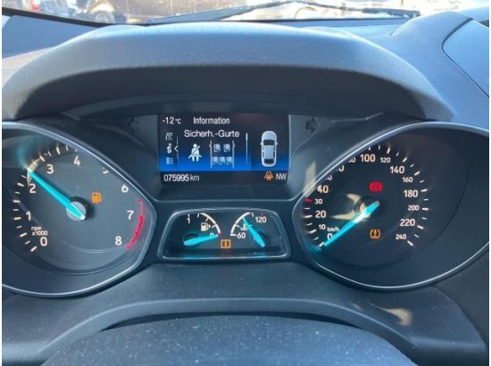 2019 Ford Kuga Trend